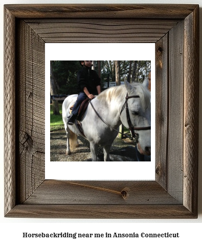 horseback riding near me in Ansonia, Connecticut